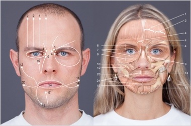 paul ekman micro expressions pdf